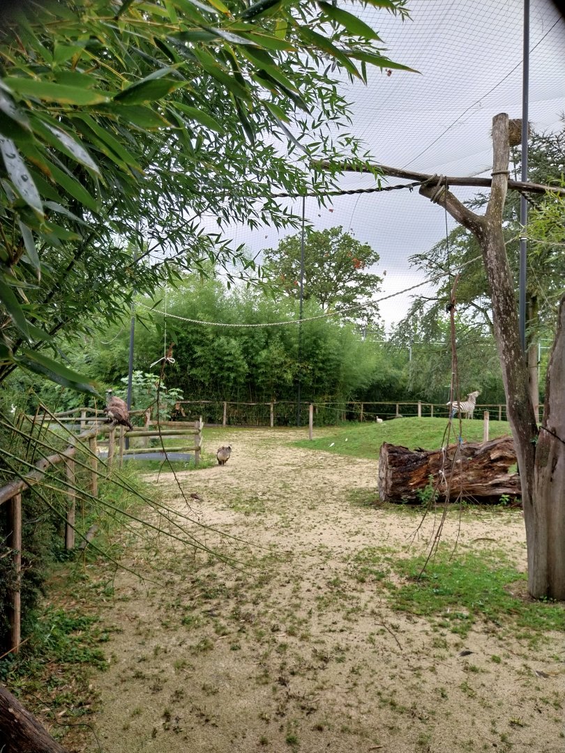 Toni's zoo Rothenburg - Great aviary