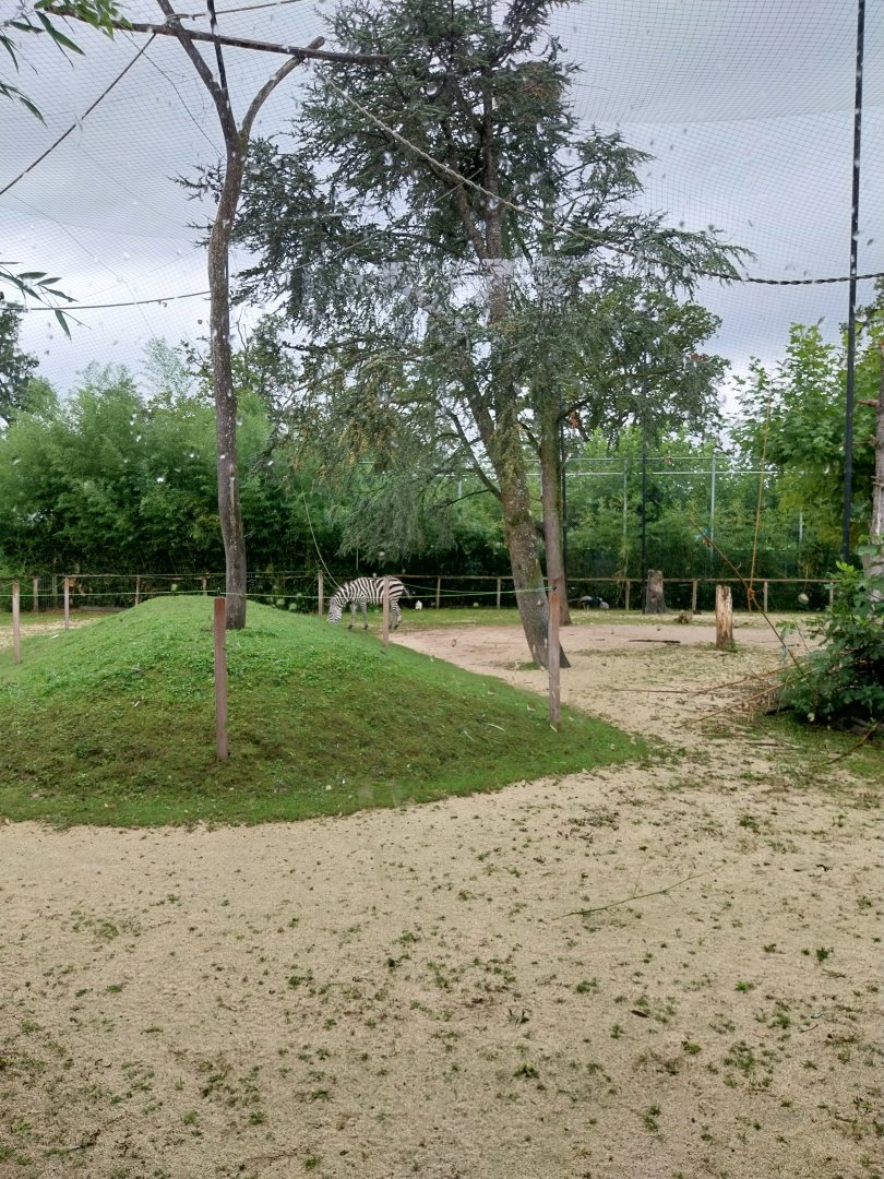Toni's zoo Rothenburg - Great aviary