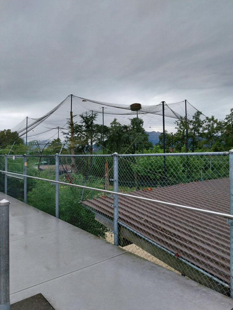 Toni's zoo Rothenburg - Great aviary