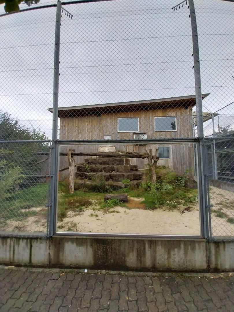 Toni's zoo Rothenburg - Leopard enclosure