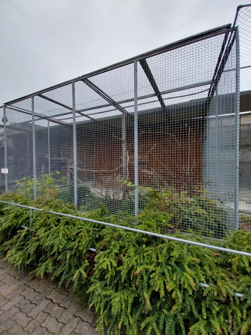 Toni's zoo Rothenburg - Macaw aviary