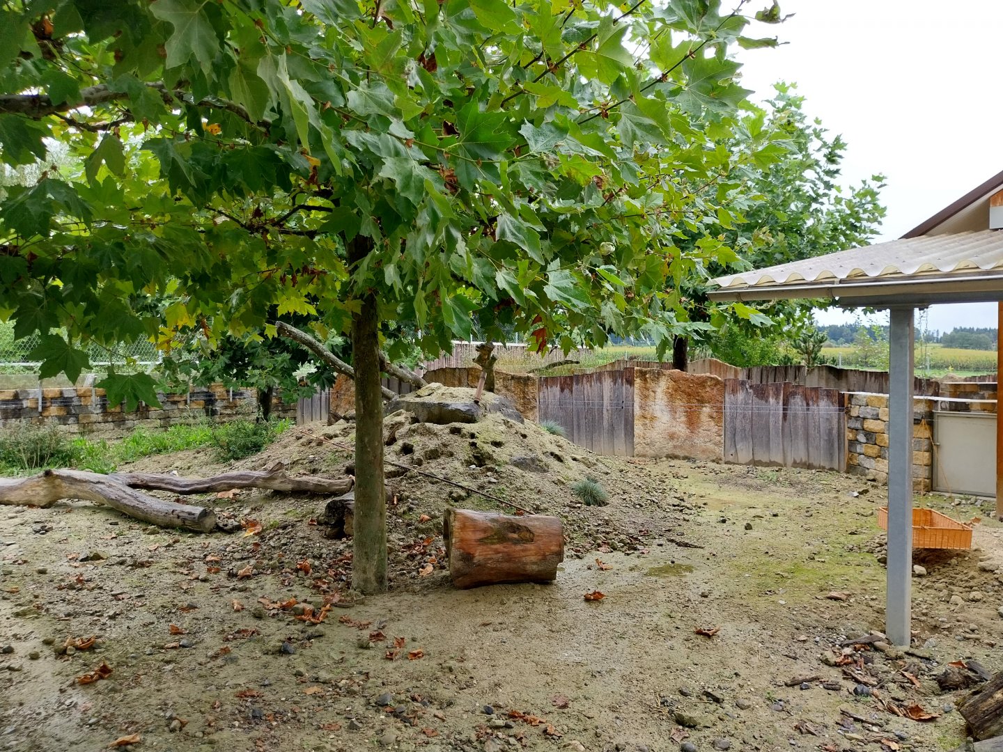 Toni's zoo Rothenburg - Meerkat enclosure