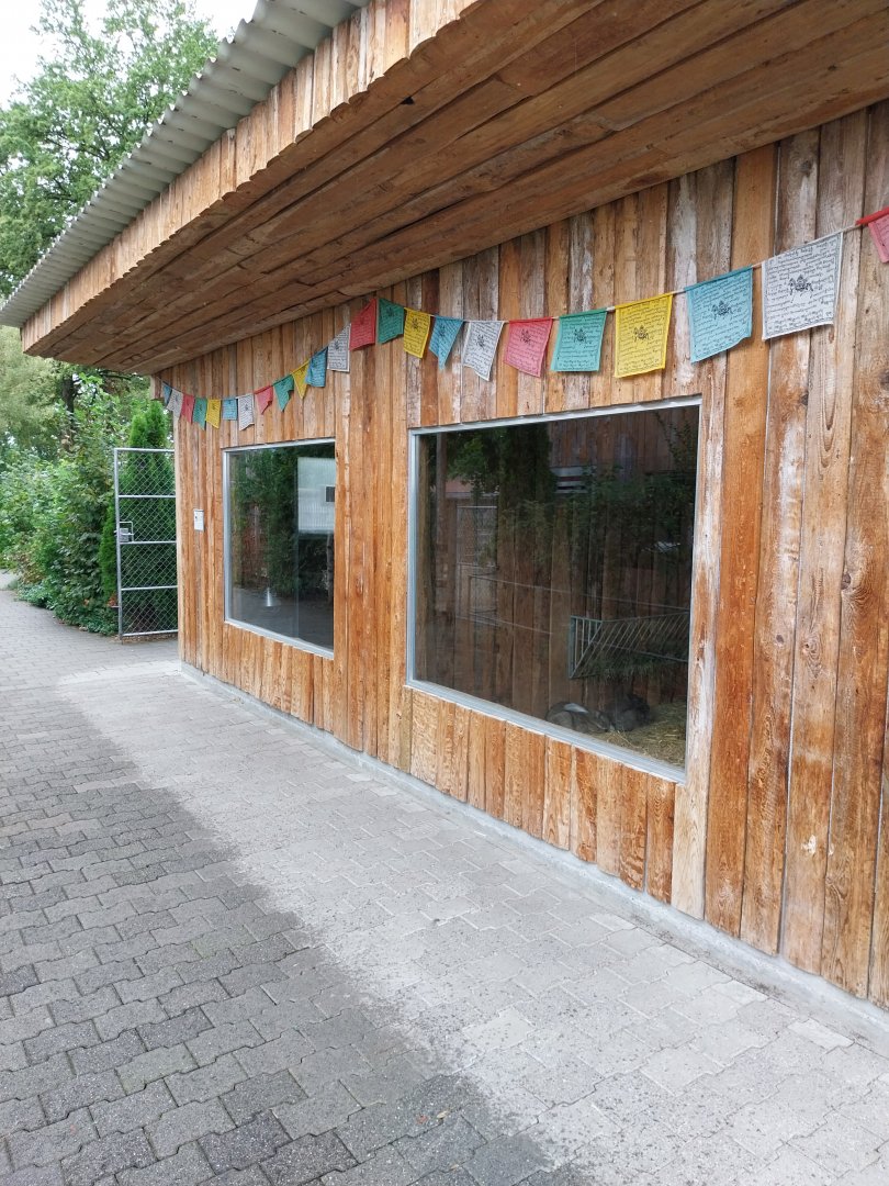 Toni's zoo Rothenburg - Reeve muntjac and domestic rabbit barn