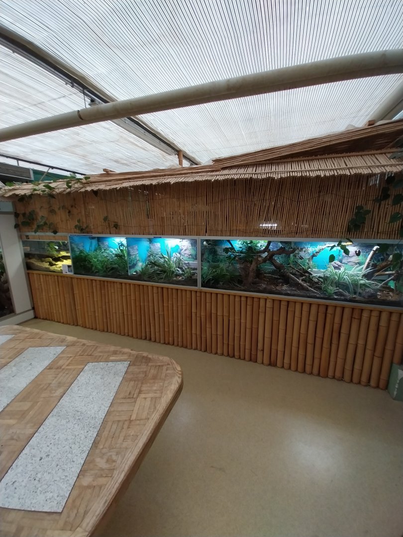 Toni's zoo Rothenburg - Reptilienhaus