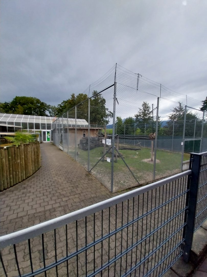 Toni's zoo Rothenburg - Tropenhaus 1 Rainforest - African penguin pool - Barbary macaque enclosure