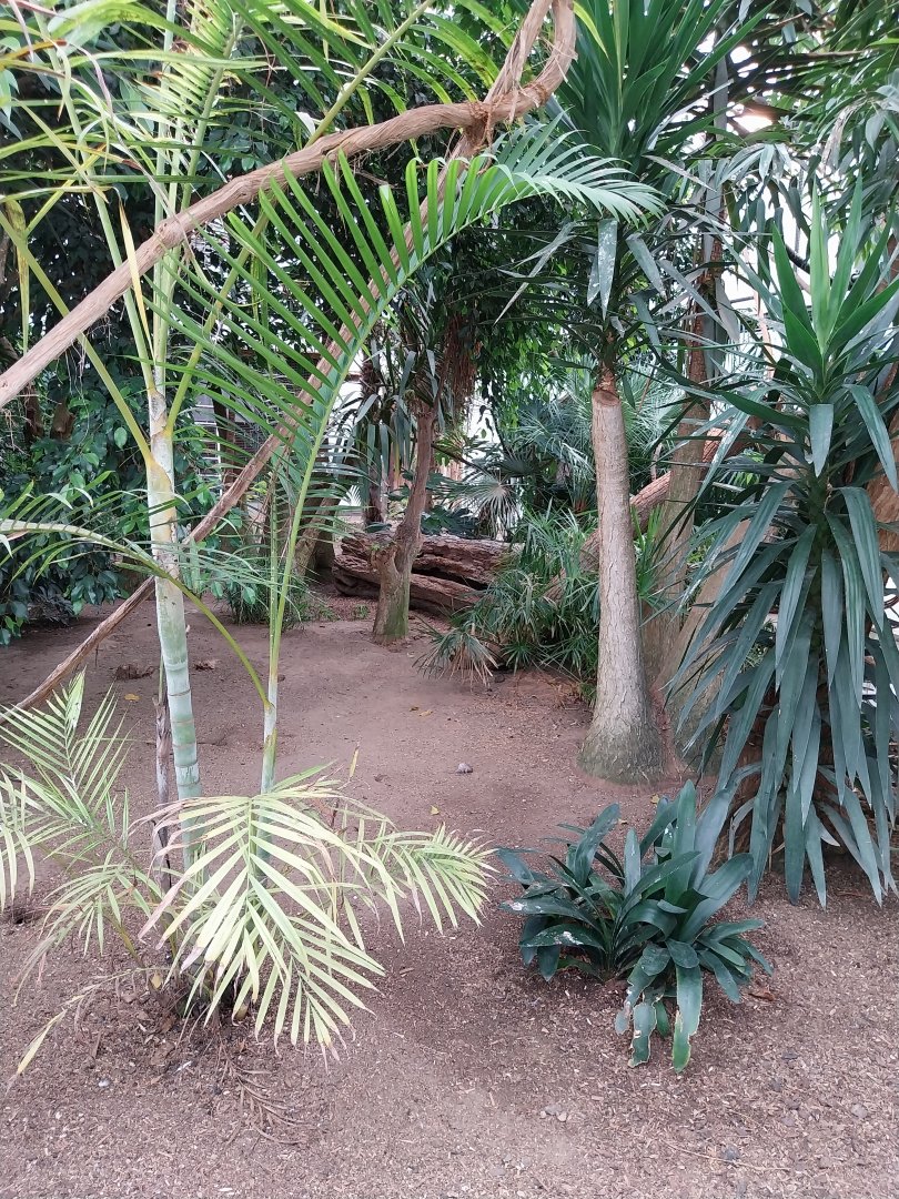 Toni's zoo Rothenburg - Tropenhaus 1 Rainforest - general view