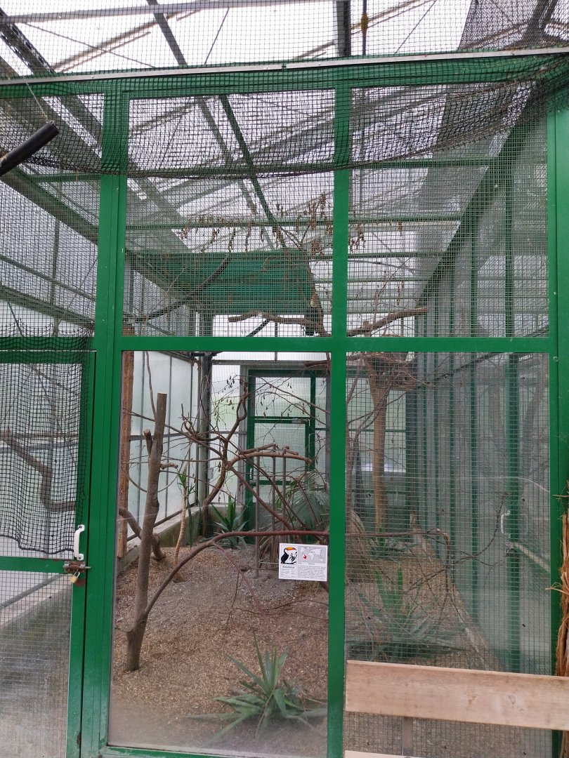 Toni's zoo Rothenburg - Tropenhaus 1 Rainforest - Toco toucan aviary