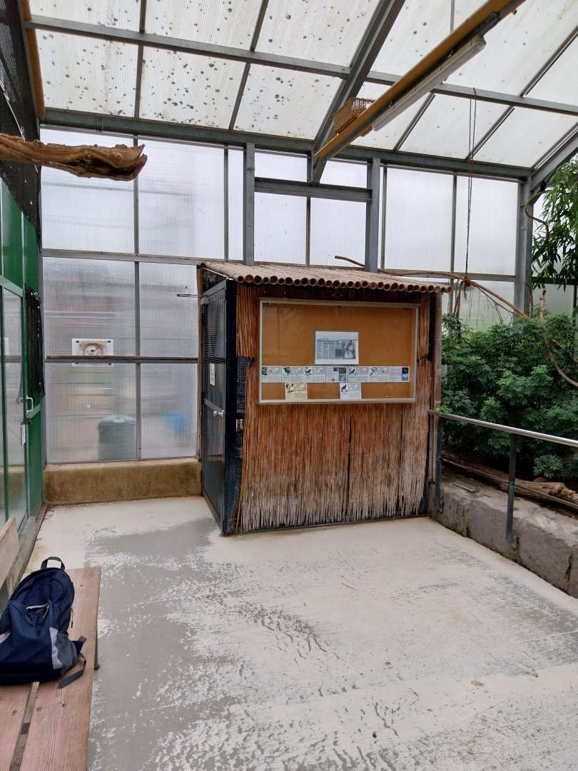 Toni's zoo Rothenburg - Tropenhaus 1 Rainforest - Visitor section