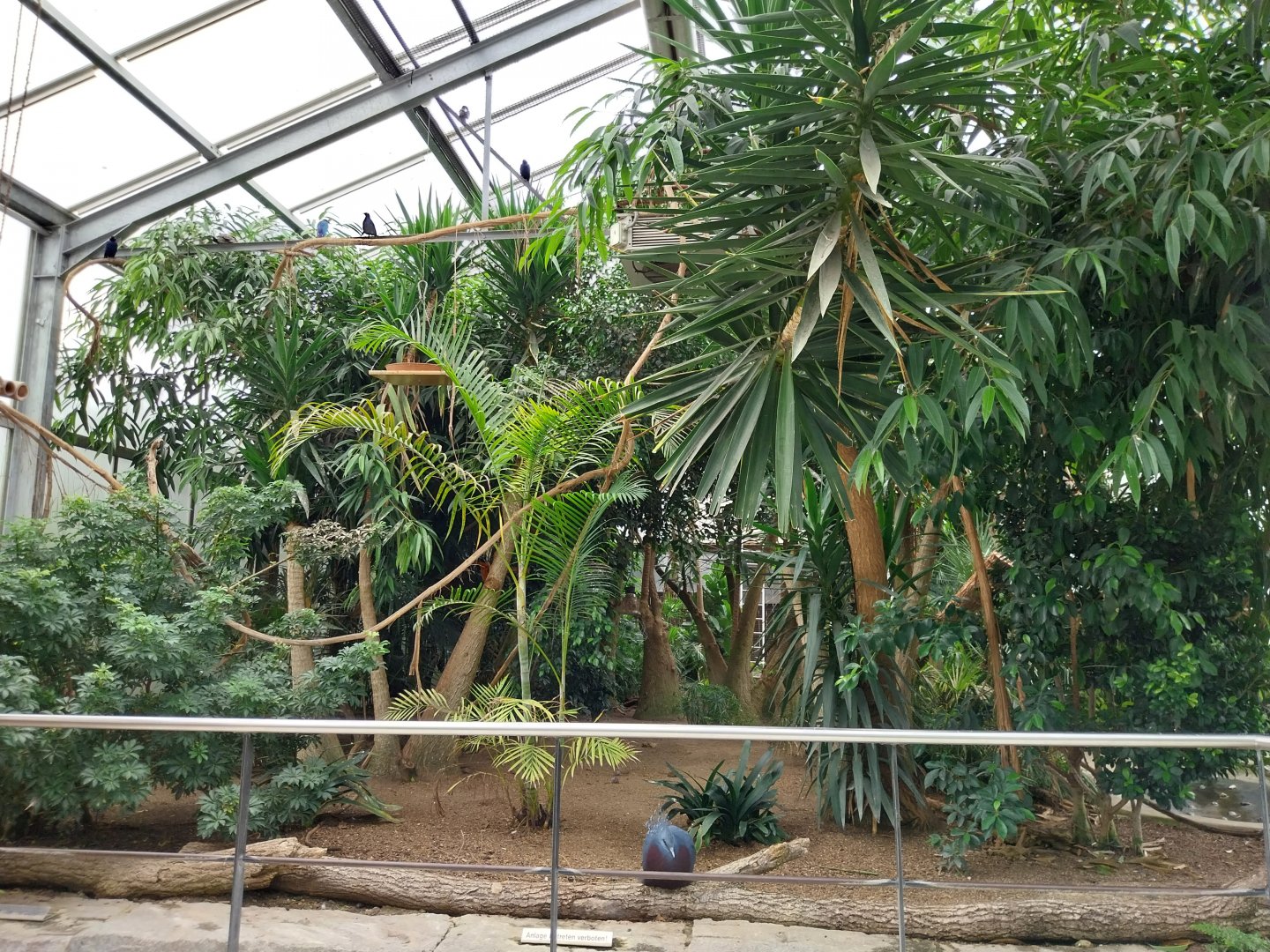 Toni's zoo Rothenburg - Tropenhaus 1 Rainforest