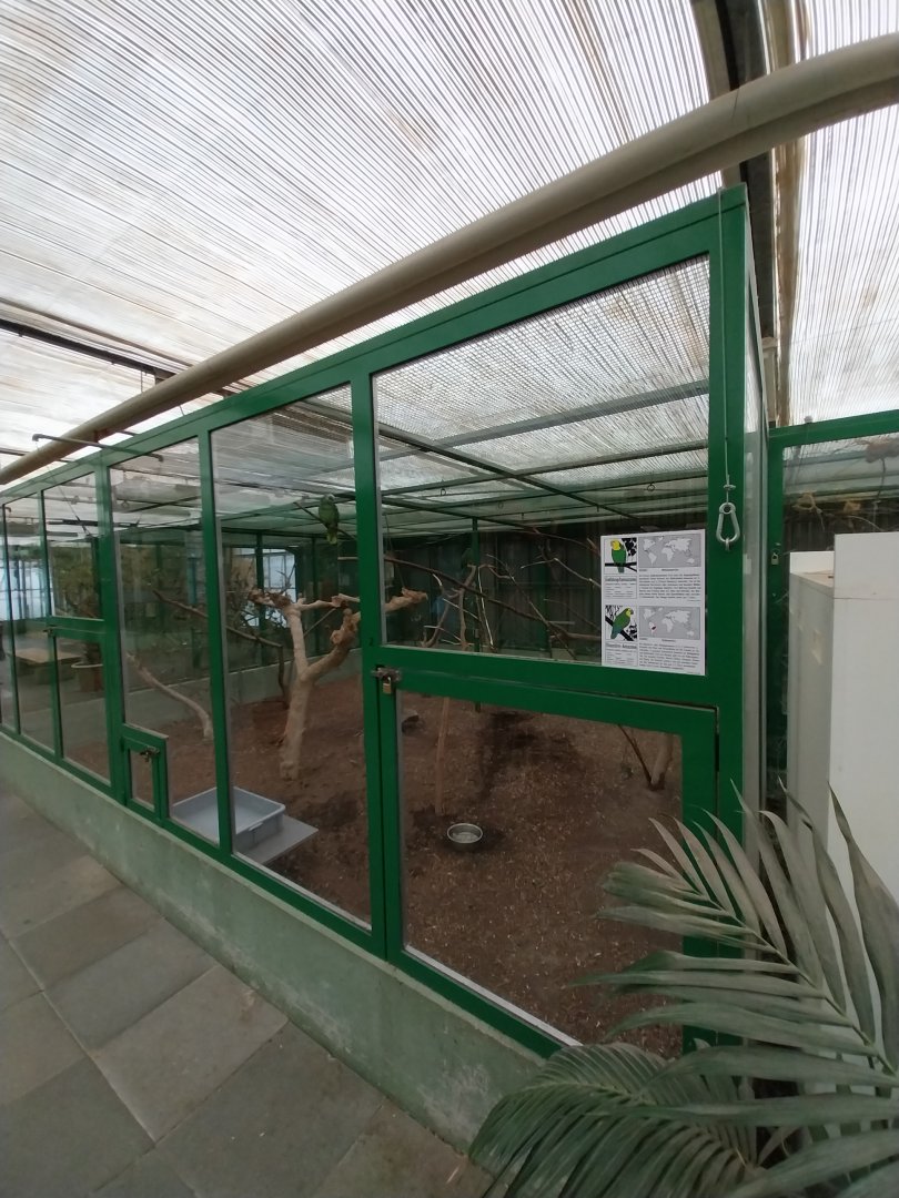 Toni's zoo Rothenburg - Tropenhaus 2 - Amazon aviary