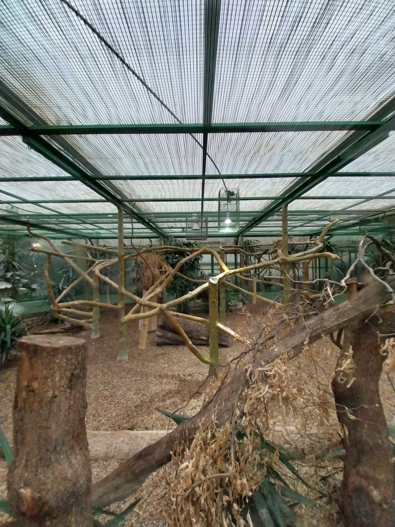 Toni's zoo Rothenburg - Tropenhaus 2 - Military macaw aviary