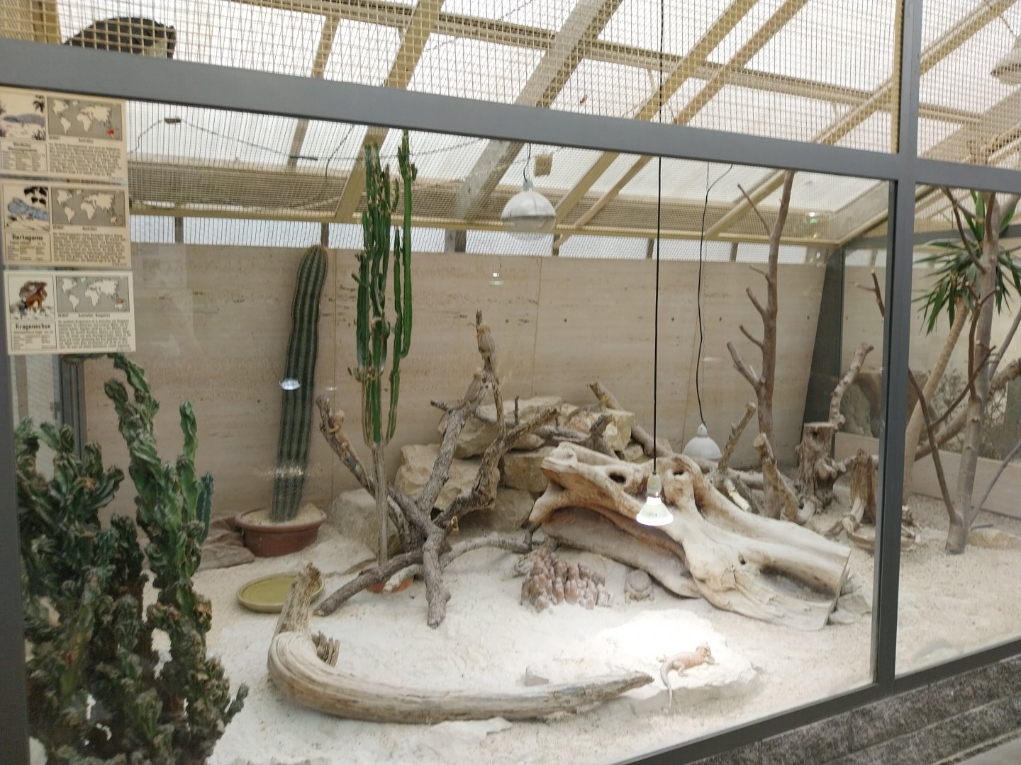 Toni's zoo Rothenburg - Tropenhaus 3 - Australian outback