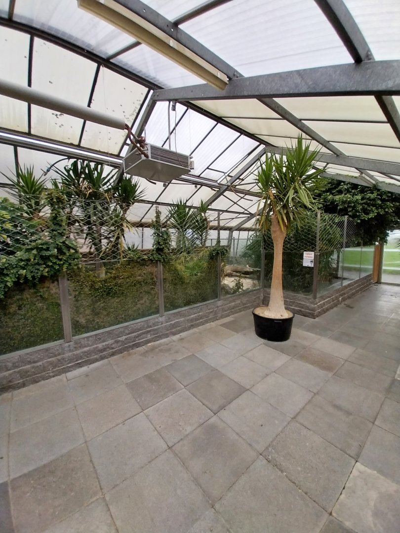 Toni's zoo Rothenburg - Tropenhaus 3 -  Dwarf crocodile enclosure