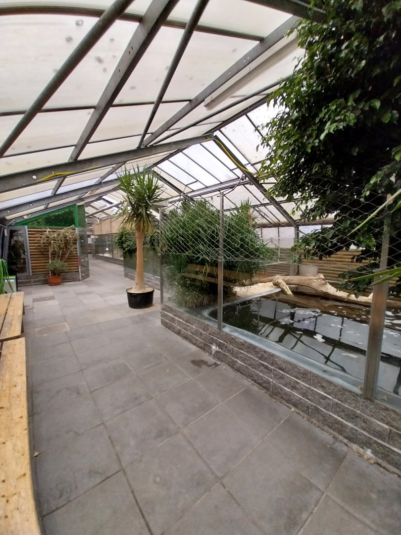 Toni's zoo Rothenburg - Tropenhaus 3 -  General view