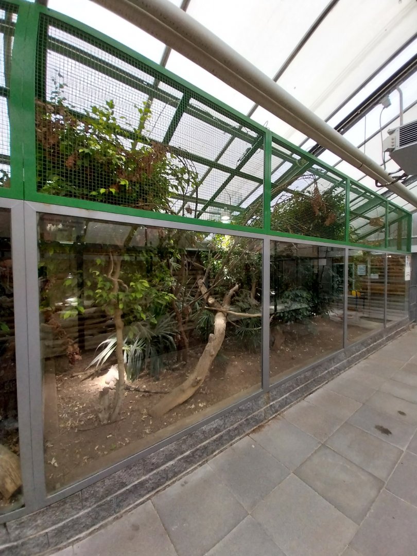 Toni's zoo Rothenburg - Tropenhaus 3 -  South American rainforest