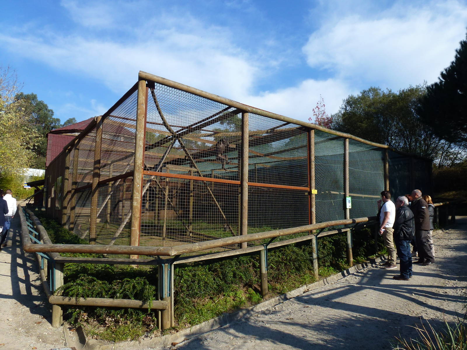Tonkean macaque enclosure, November 2013.