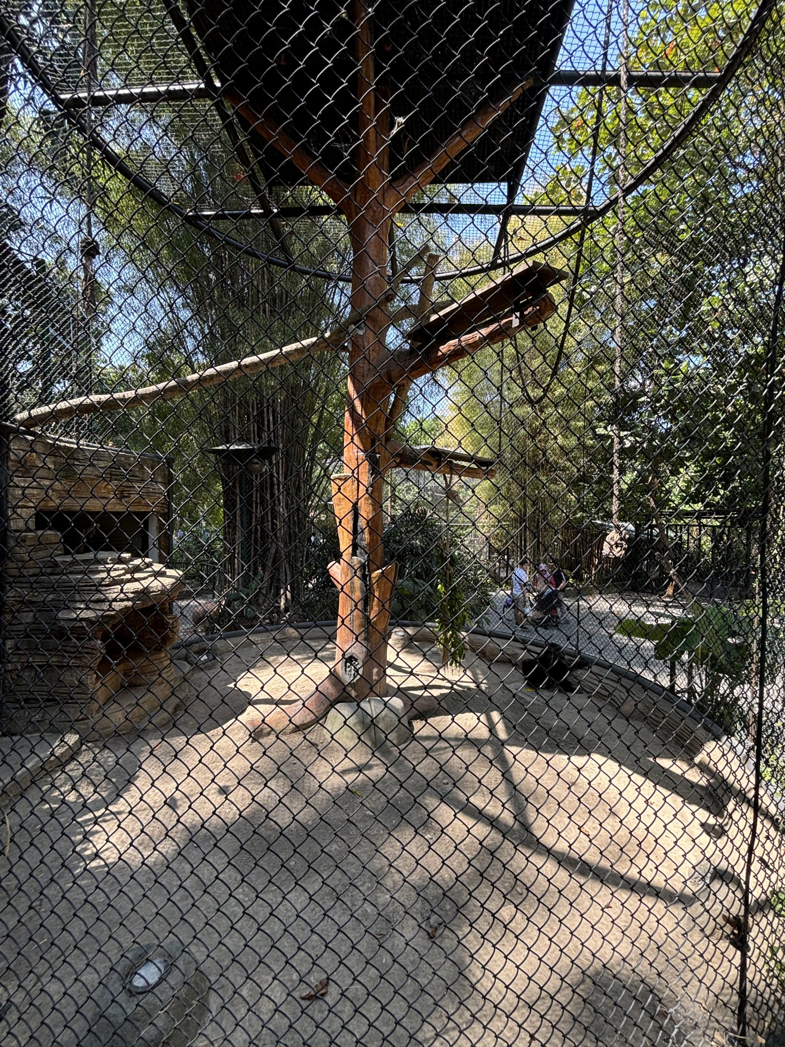 Tonkean Macaque Exhibit
