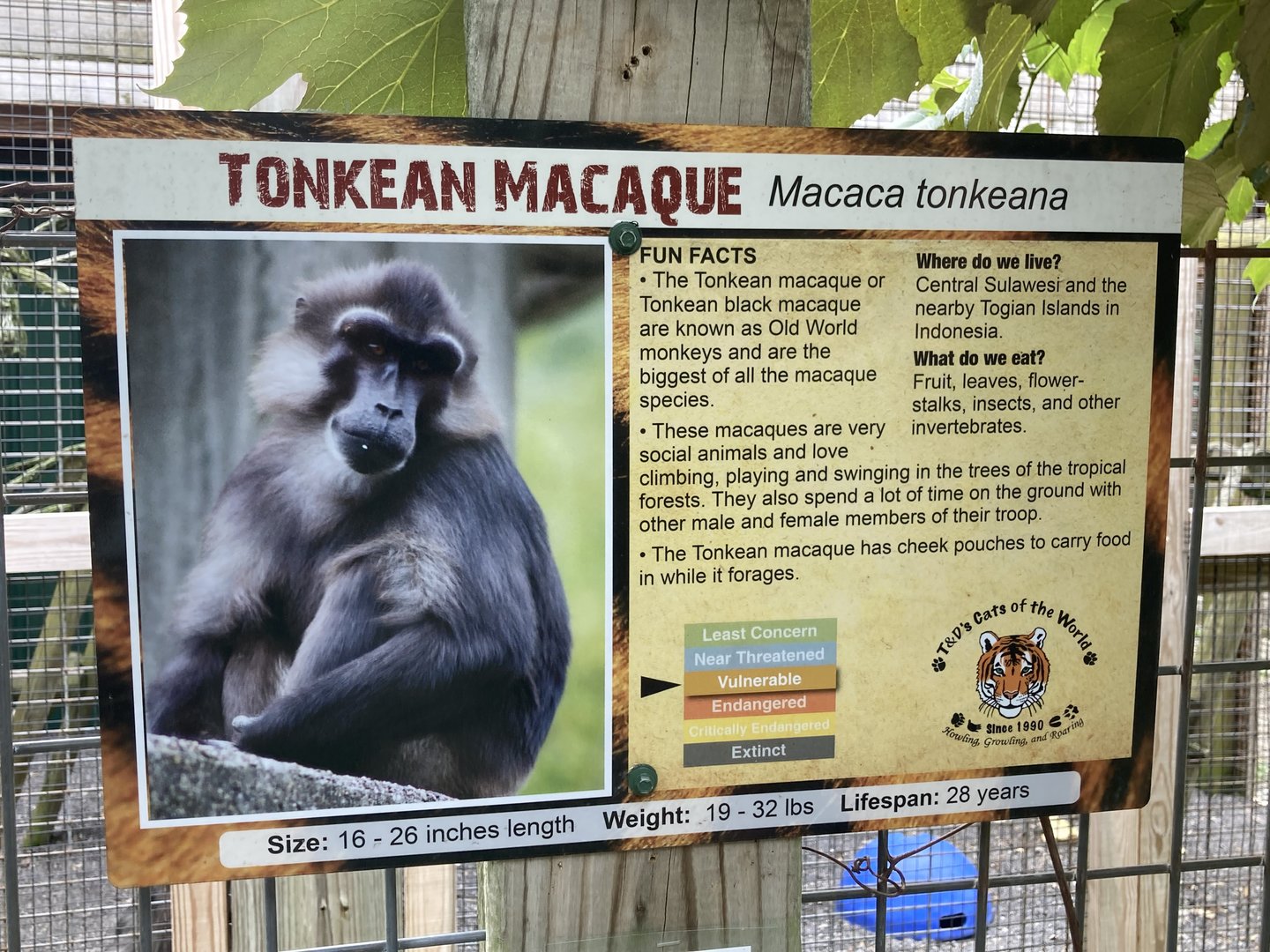 Tonkean Macaque signage