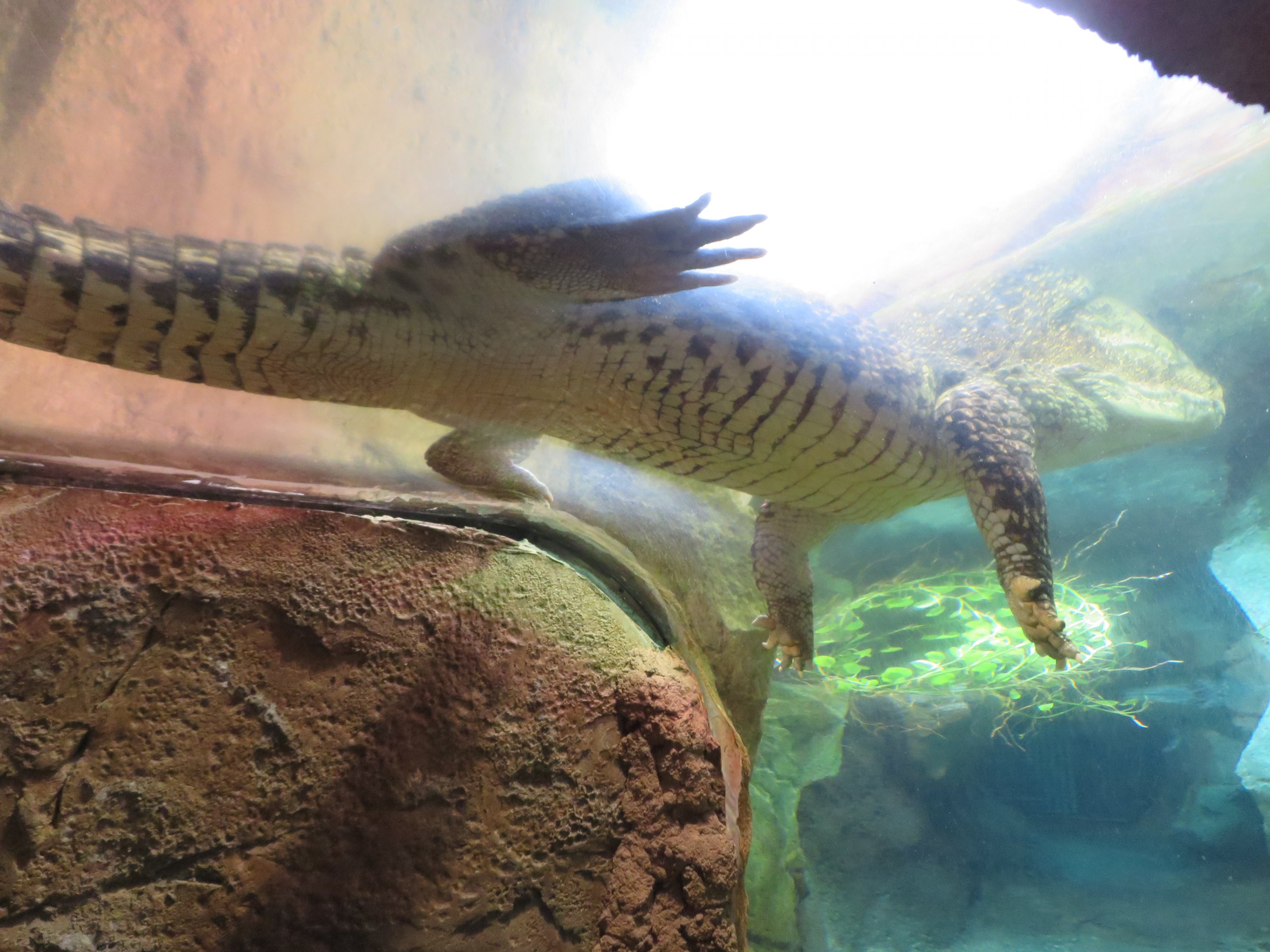 Too Close for Comfort