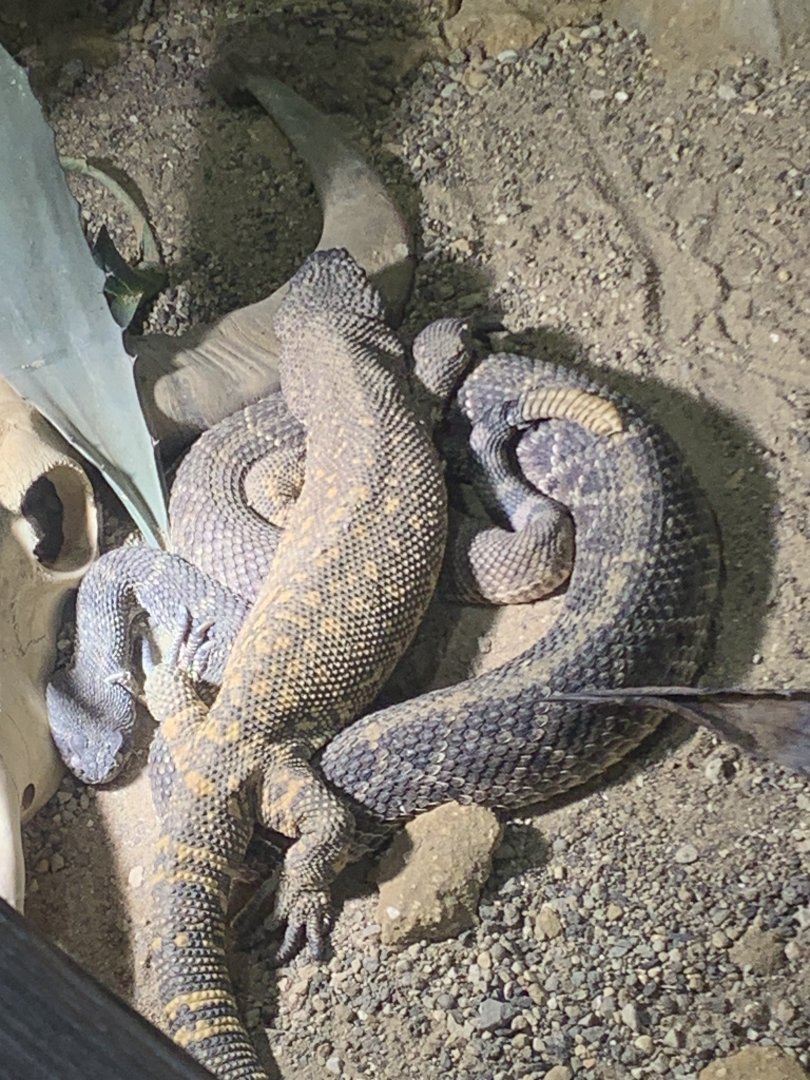 Too close for comfort?