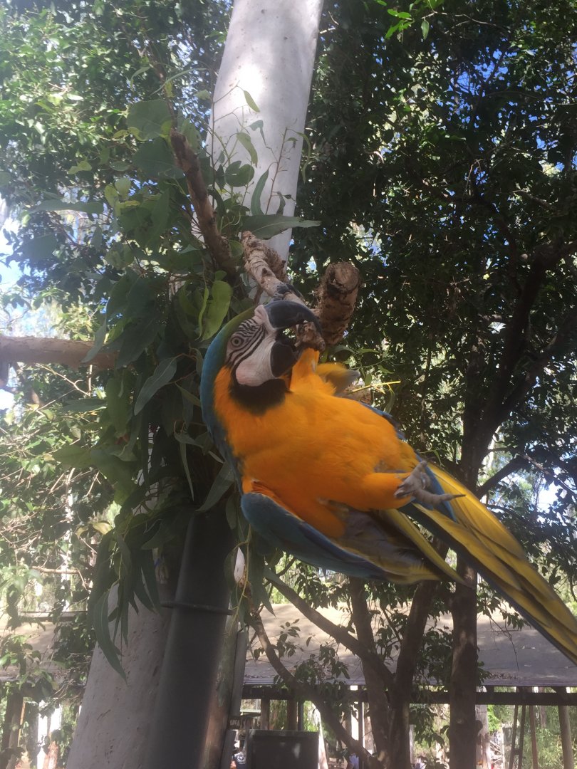 Too much Stretching!!!