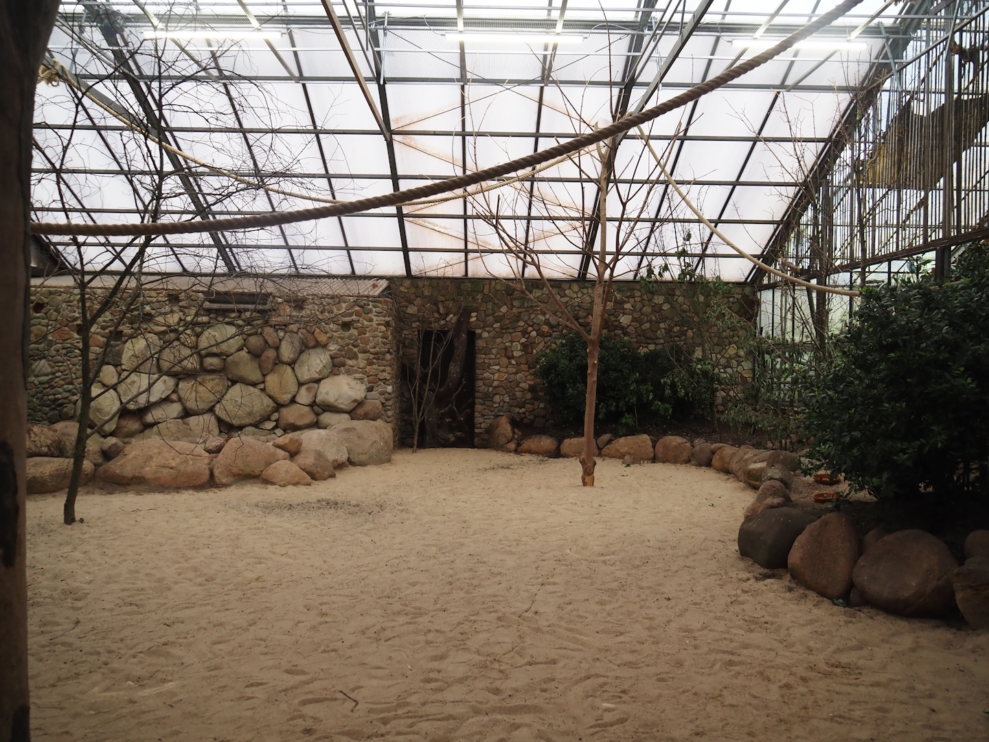 Toowoomba aviary - Rainbow lorikeet walk-through and feeding aviary, 2024-05-22