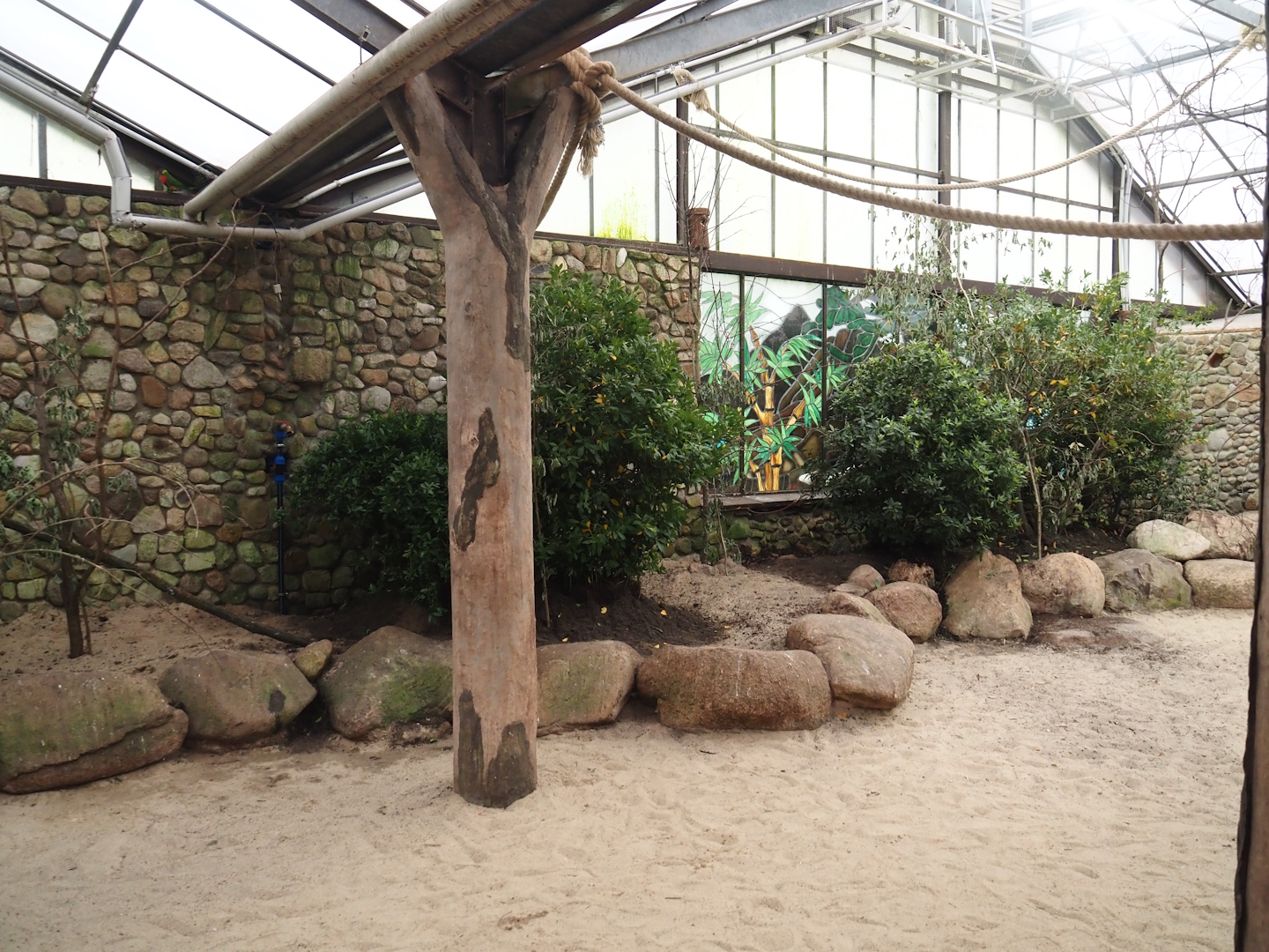 Toowoomba aviary - Rainbow lorikeet walk-through and feeding aviary, 2024-05-22