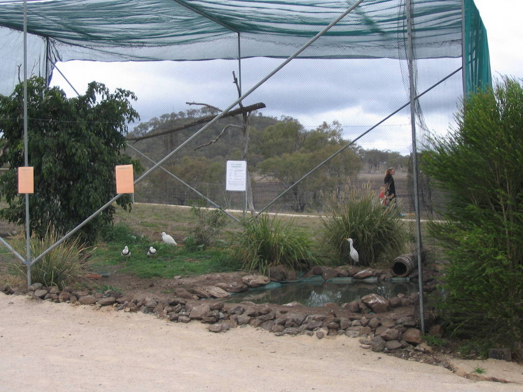 toowoomba zoo - one of the aviaries