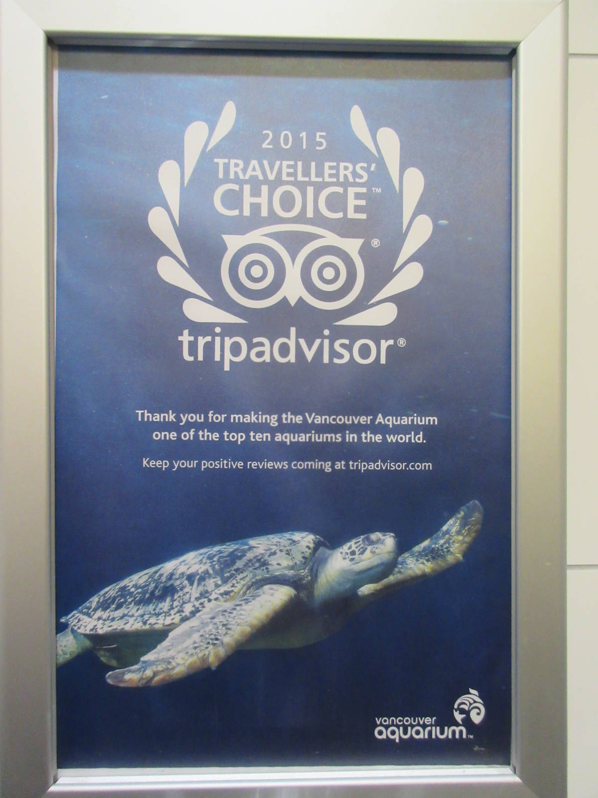 Top 10 Aquarium Poster