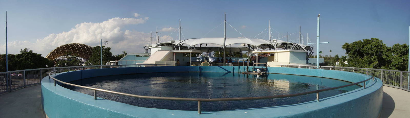 Top Deck of Coral Reef Tank - Miami Seaquarium