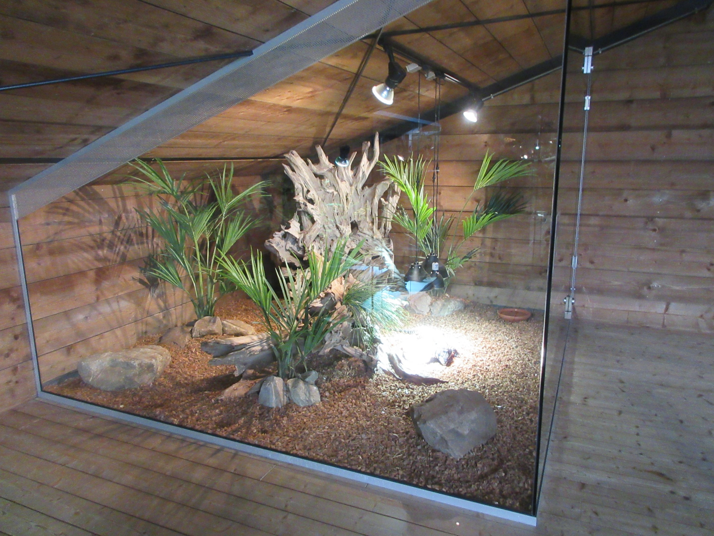 Top Floor Vivarium