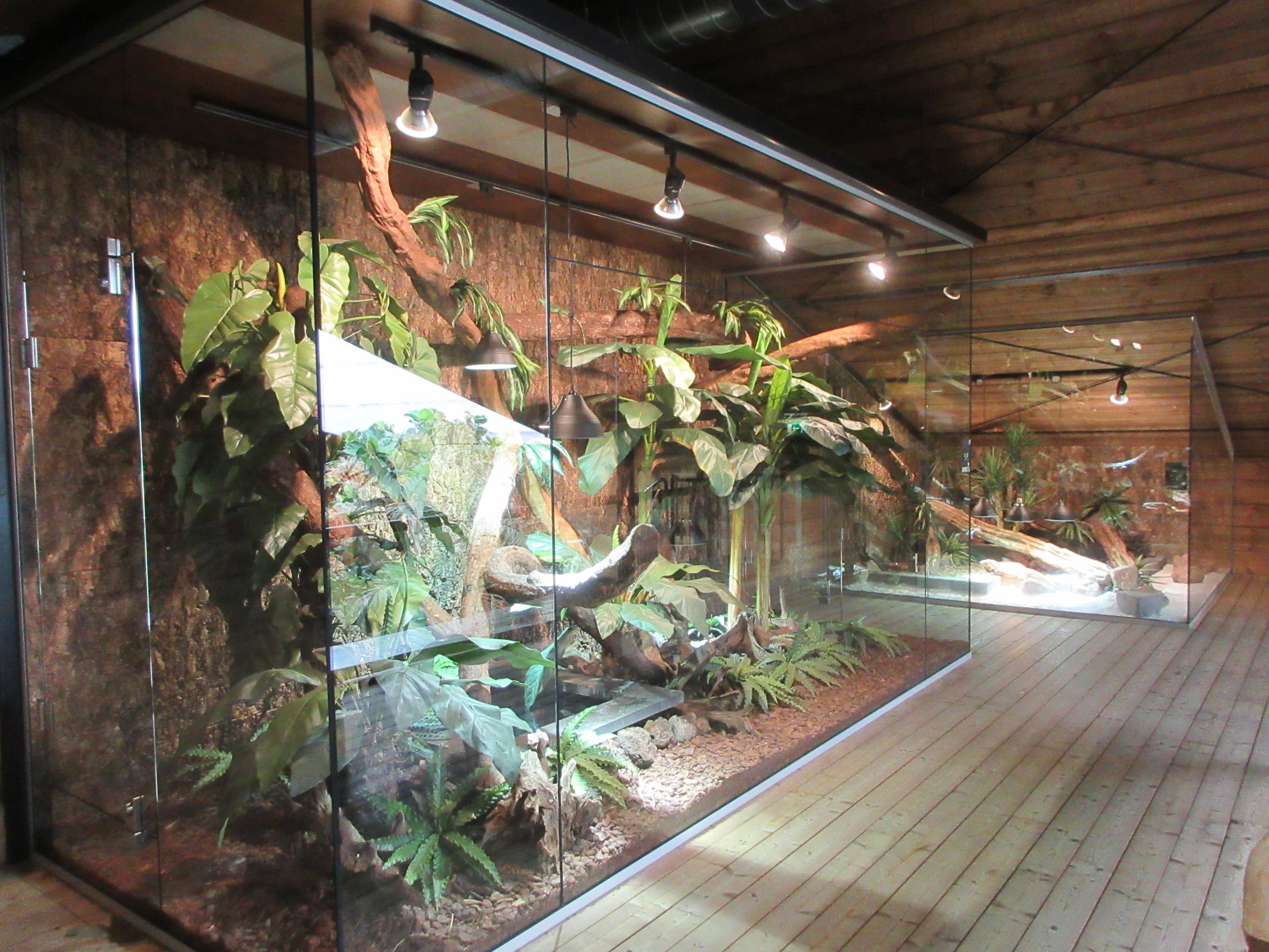 Top Floor Vivarium