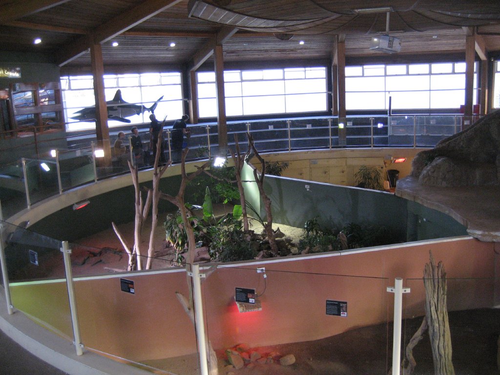 Top Level showing three reptile pits