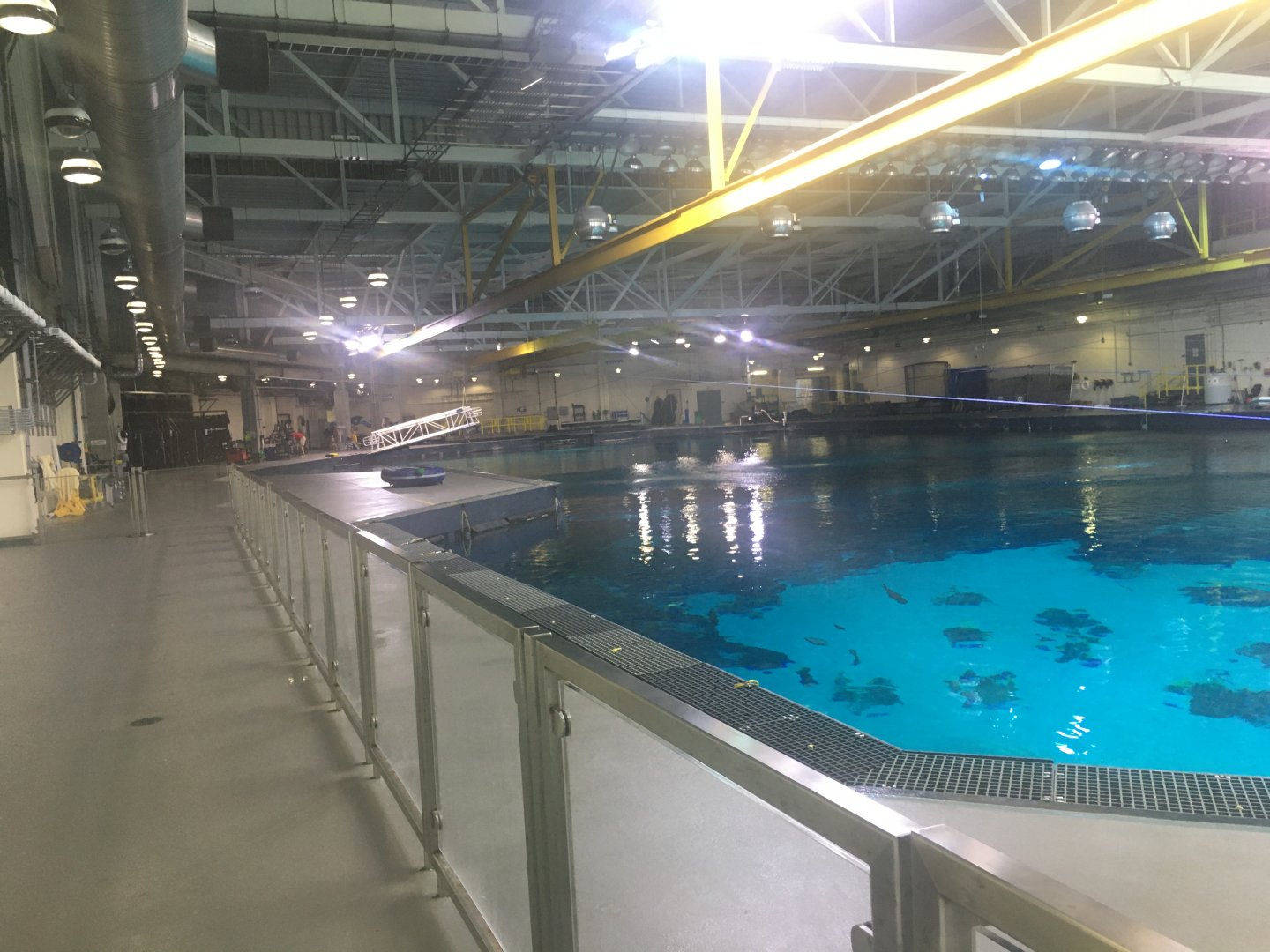 Top of Ocean Voyager