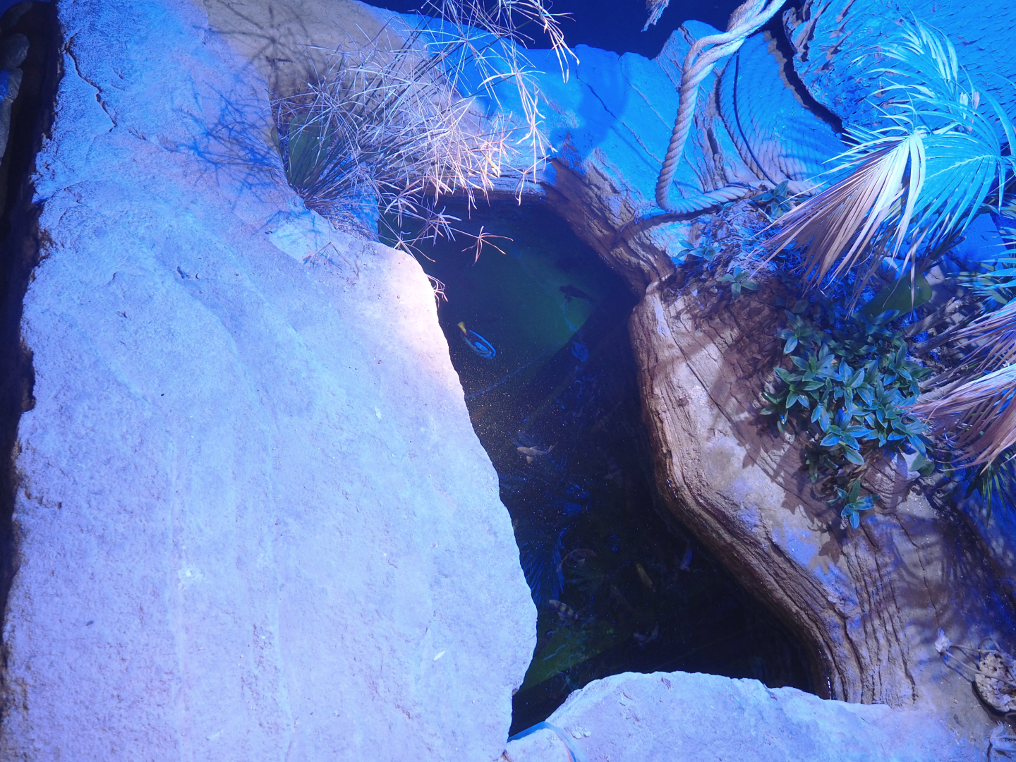 Top of the smaller staircase tank, 2022-09-14