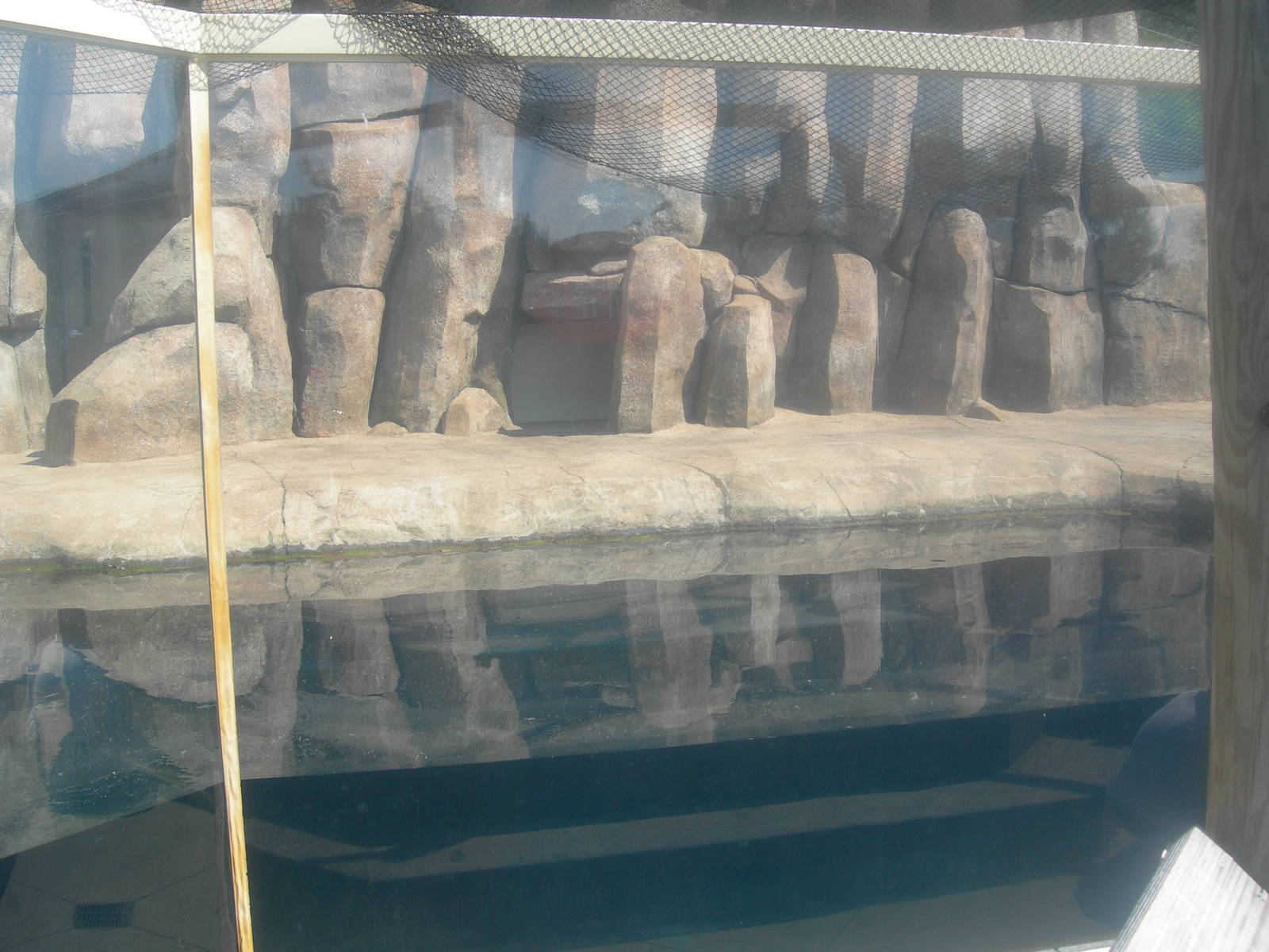 top part of the shark exhibit which was intended for a walrus