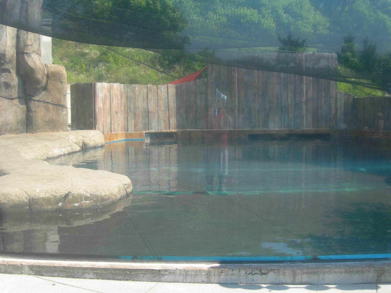 top part of the shark exhibit which was intended for a walrus