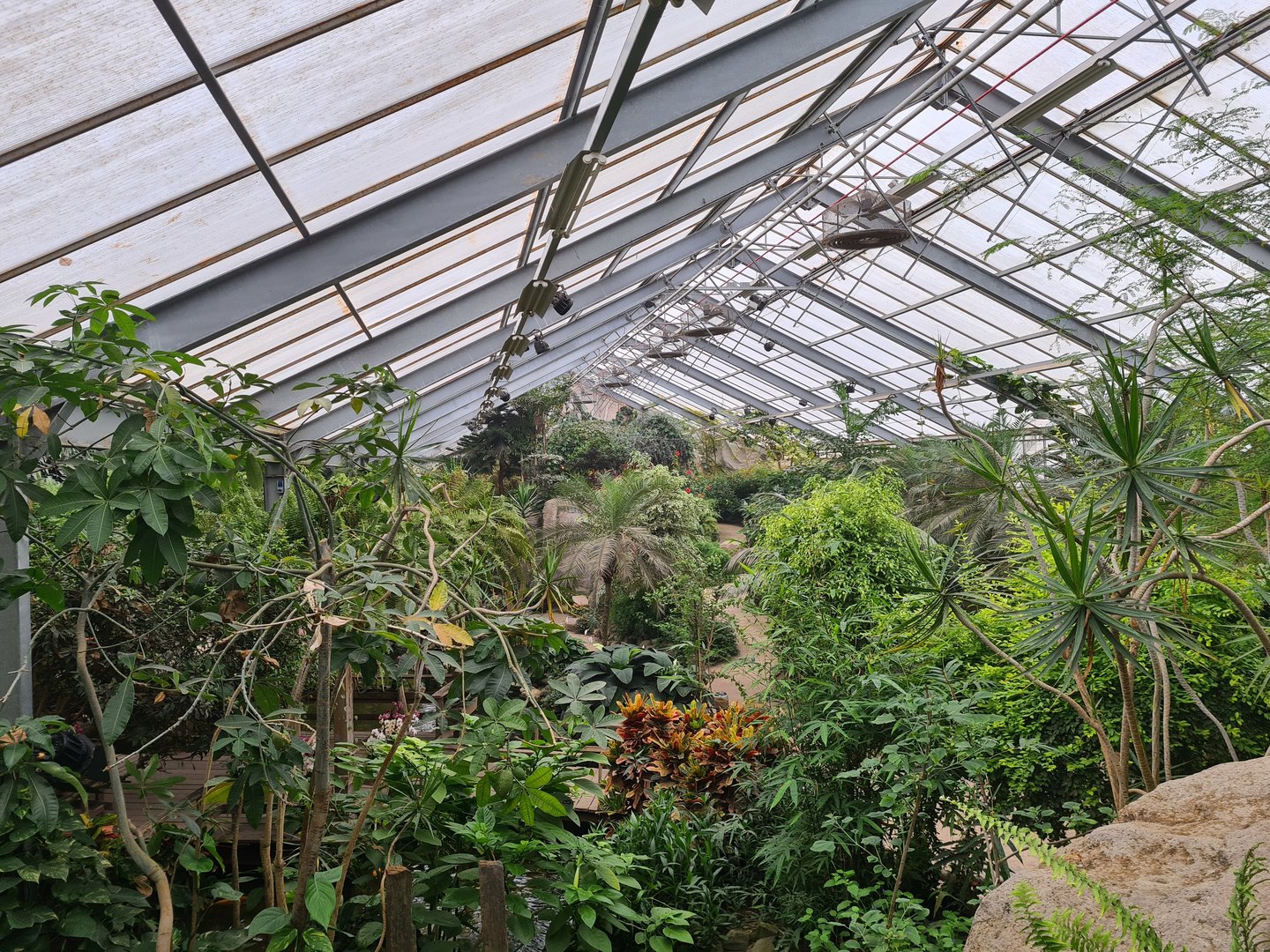 Top view of Butterfly valley