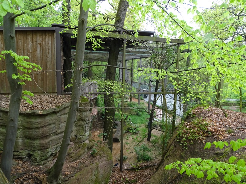 Top view of large wader aviary.