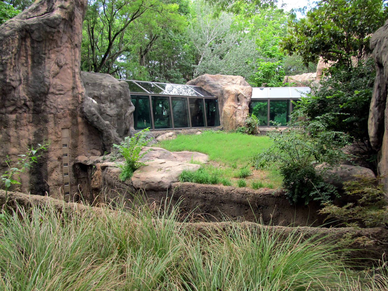 Topeka Zoo 2011 - 1st Western Lowland Gorilla Exhibit