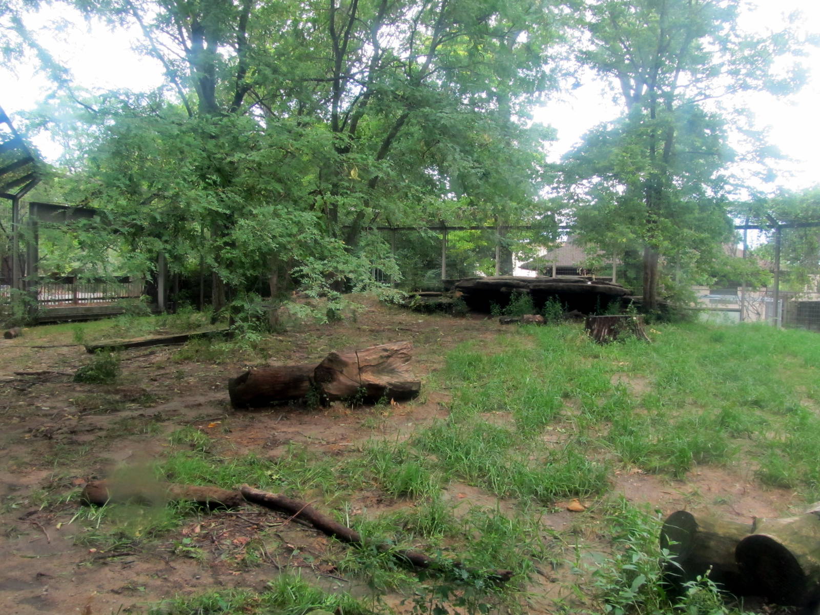 Topeka Zoo 2011 - African Lion Exhibit