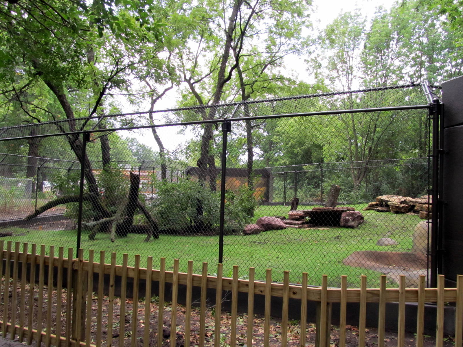 Topeka Zoo 2011 - African Lion Exhibit