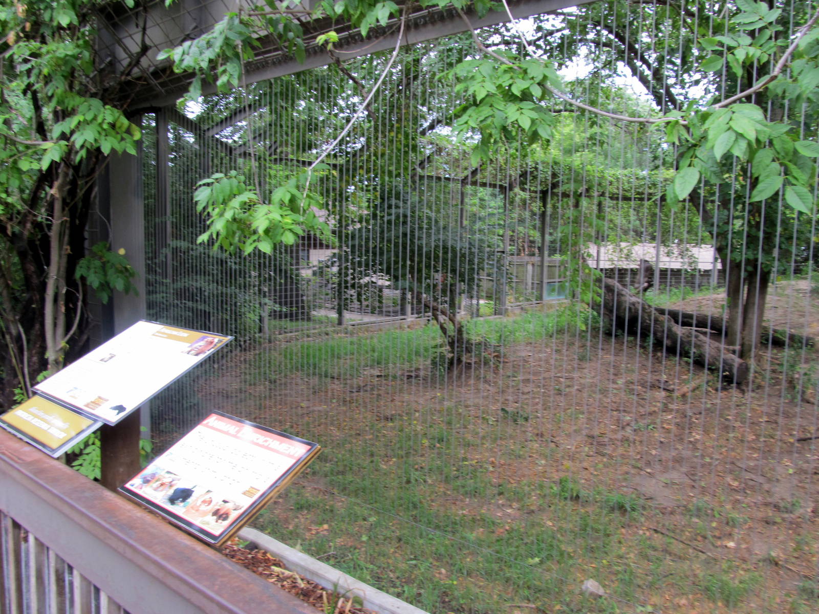Topeka Zoo 2011 - African Lion Exhibit