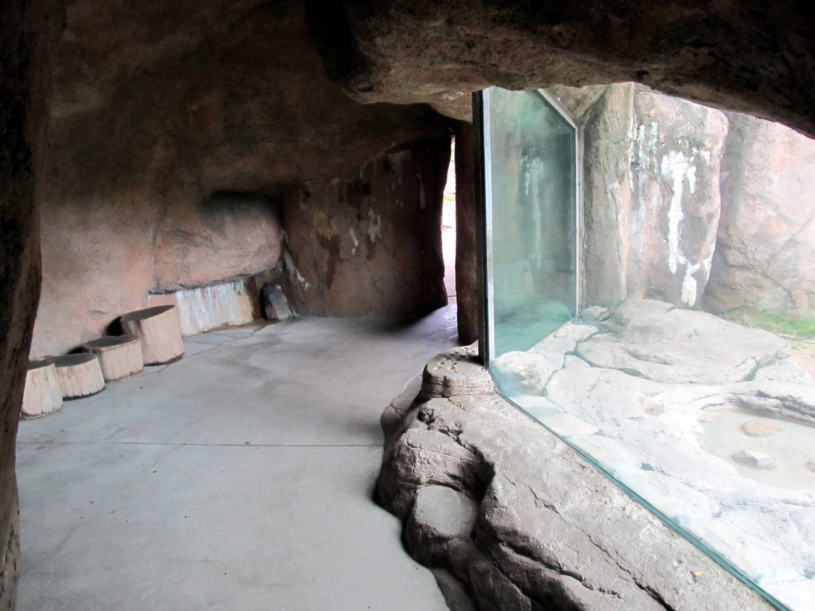 Topeka Zoo 2011 - African Lion Viewing Cave