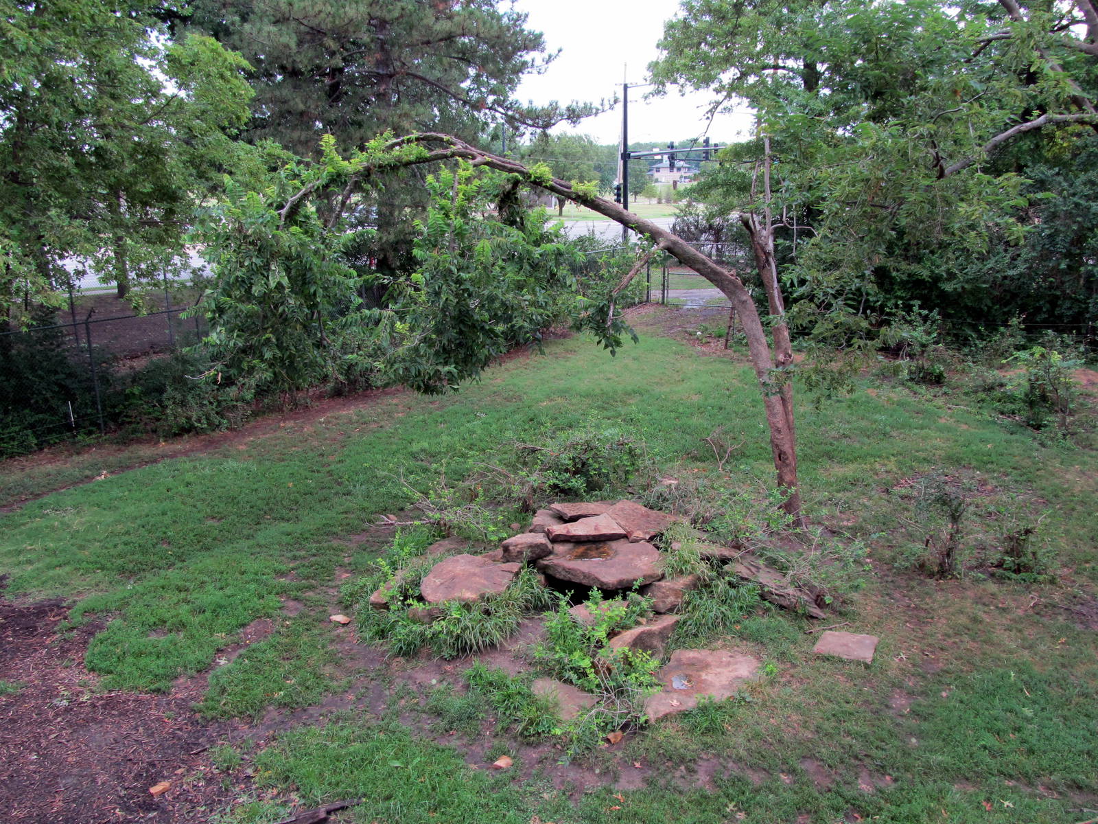 Topeka Zoo 2011 - American Black Bear Exhibit