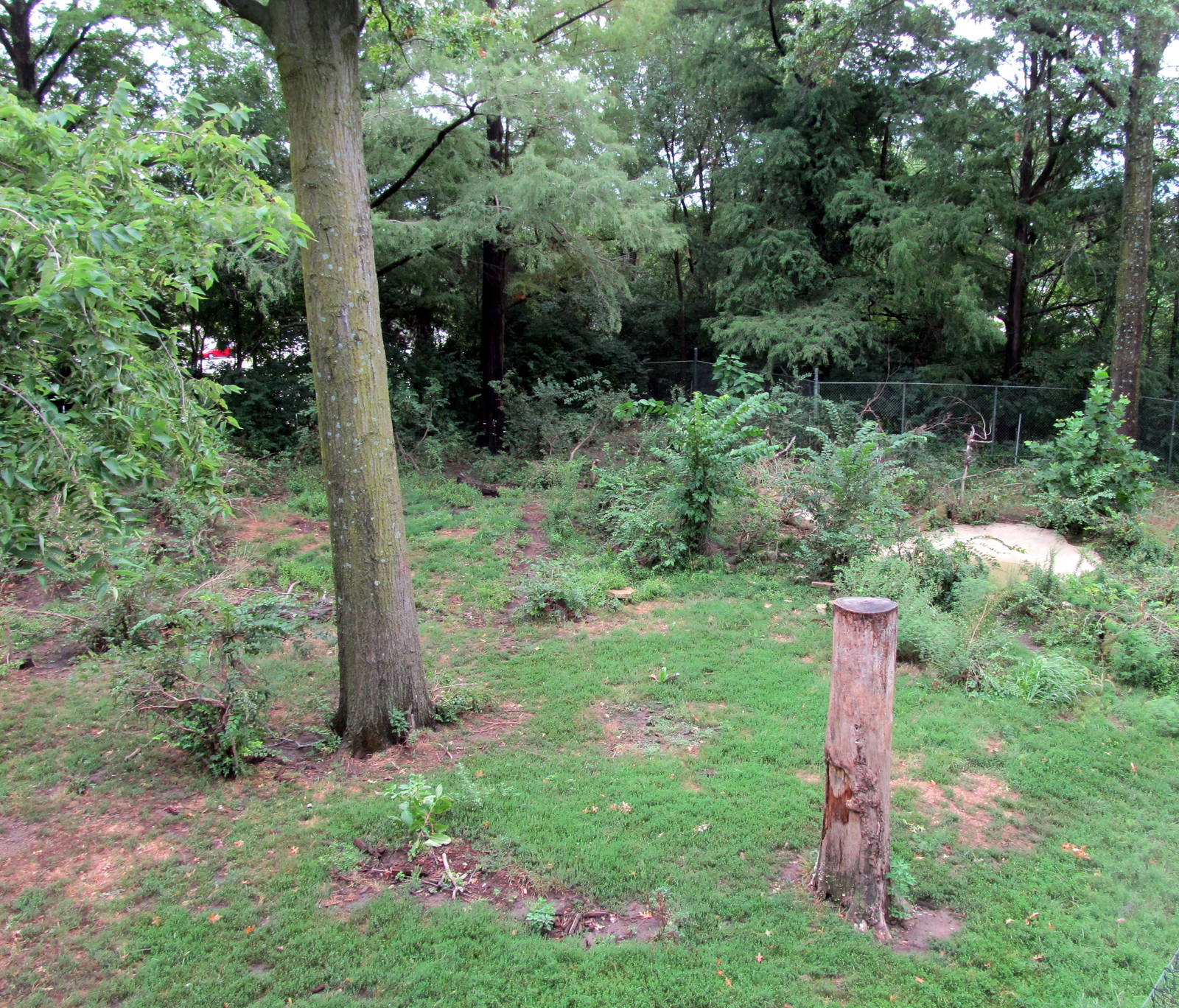 Topeka Zoo 2011 - American Black Bear Exhibit