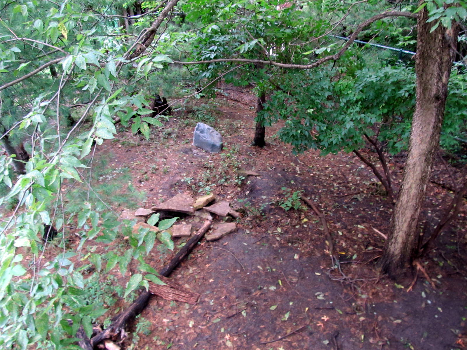 Topeka Zoo 2011 - Arctic Fox Exhibit