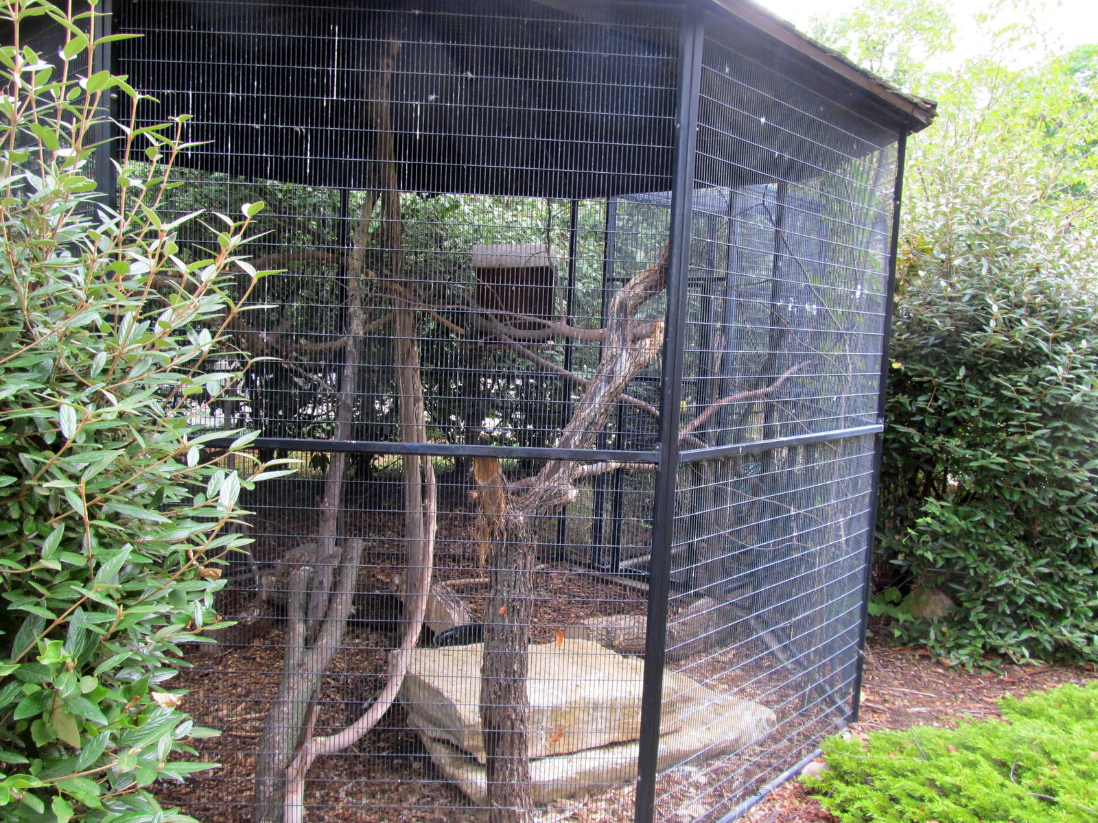 Topeka Zoo 2011 - Barn Owl Exhibit