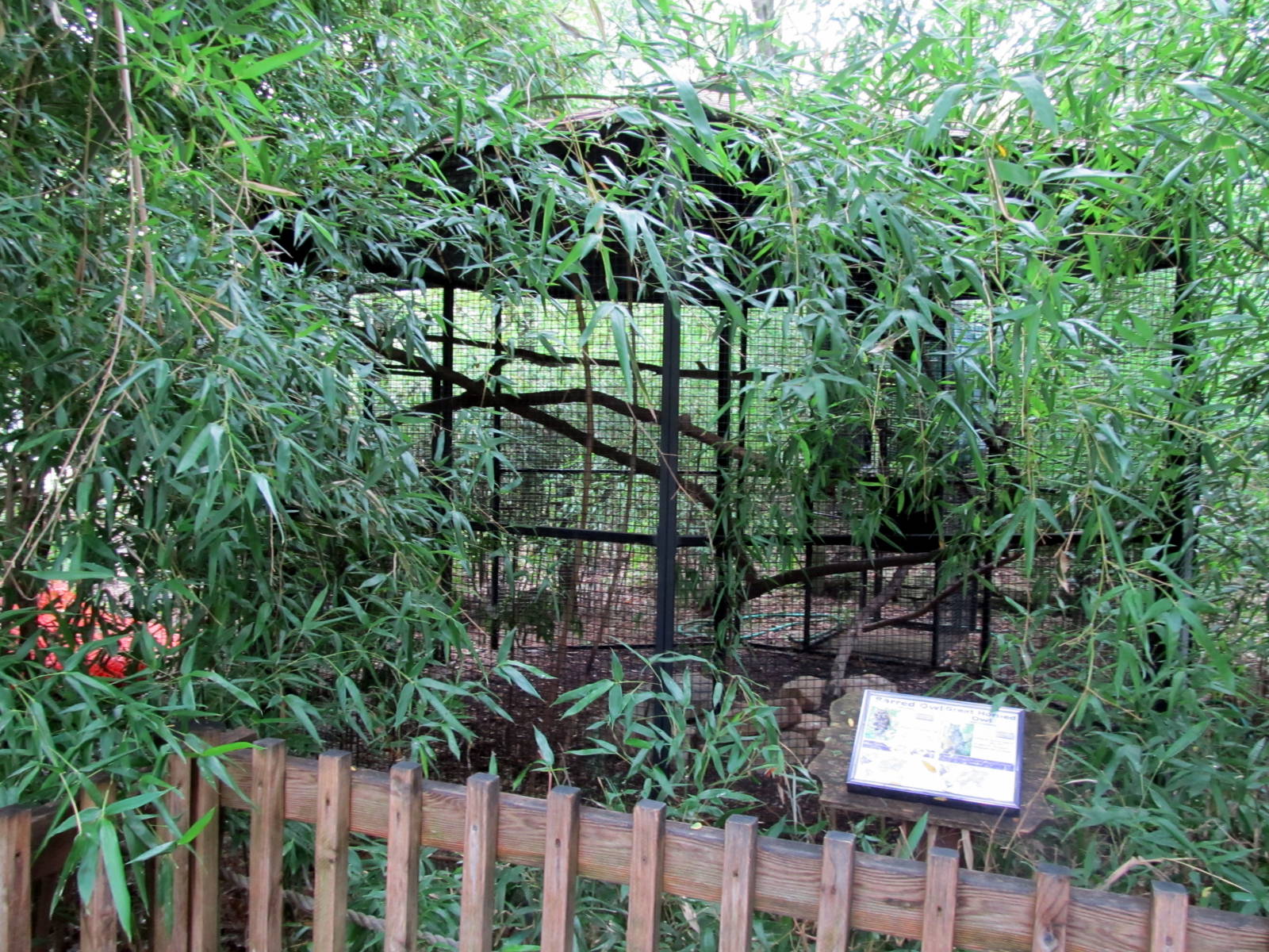 Topeka Zoo 2011 - Barred Owl/Great Horned Owl