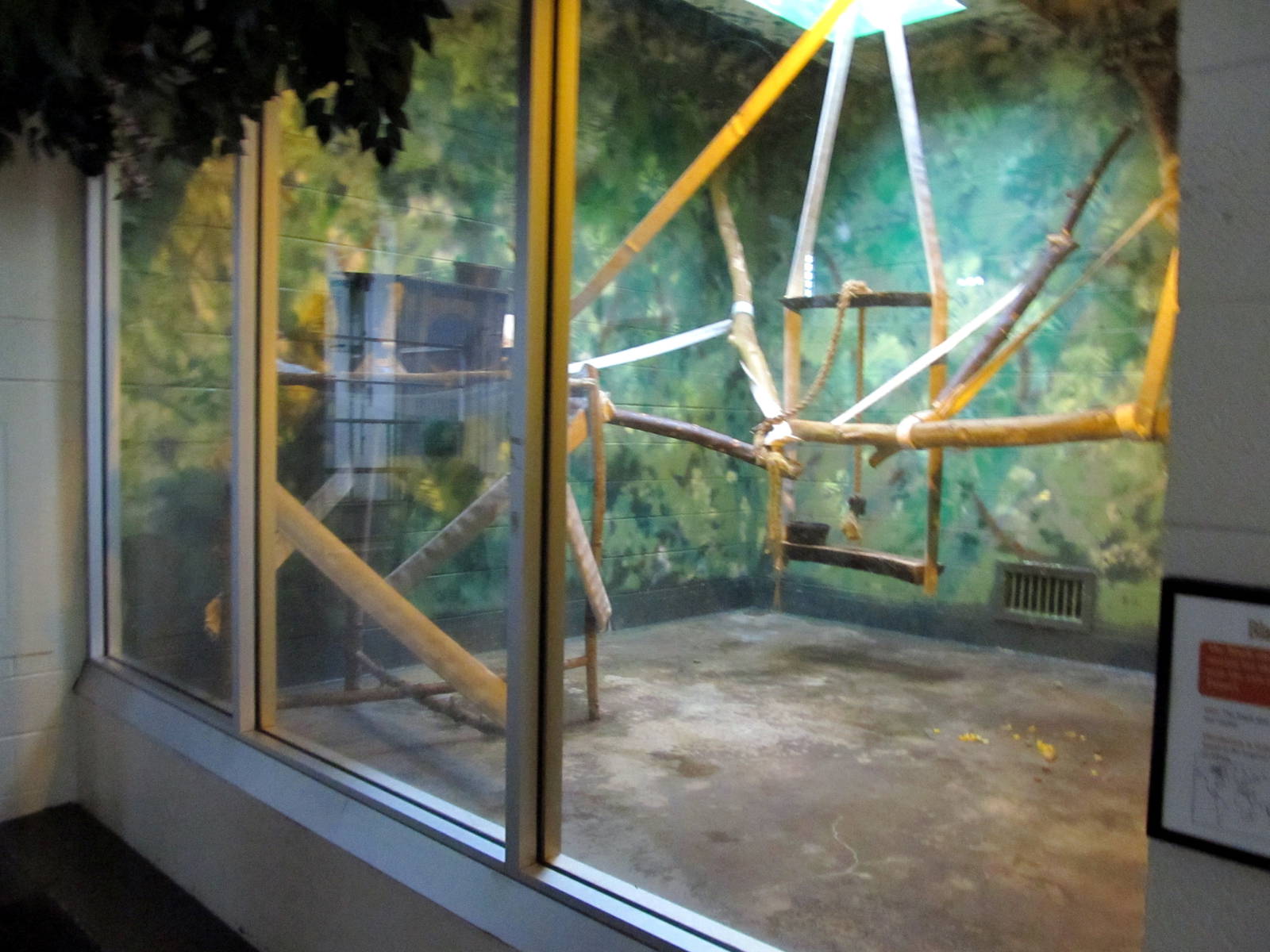 Topeka Zoo 2011 - Black and White Ruffed Lemur Exhibit